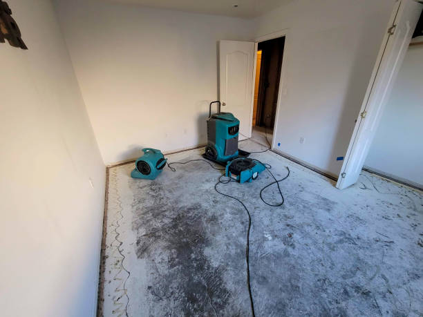 Best 24/7 water damage repair  in Nacogdoches, TX