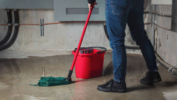 Best Water damage contractors near me  in Nacogdoches, TX