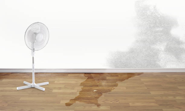 Best Flood restoration services  in Nacogdoches, TX
