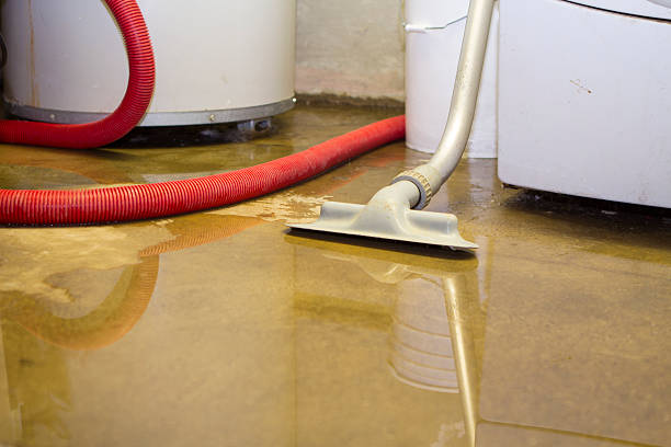 Best Flood restoration services  in Nacogdoches, TX