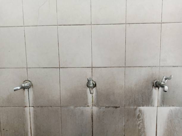 Best Water damage restoration near me  in Nacogdoches, TX